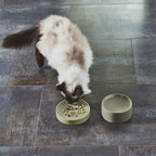 MiaCara Piatto gamelle pour chat
