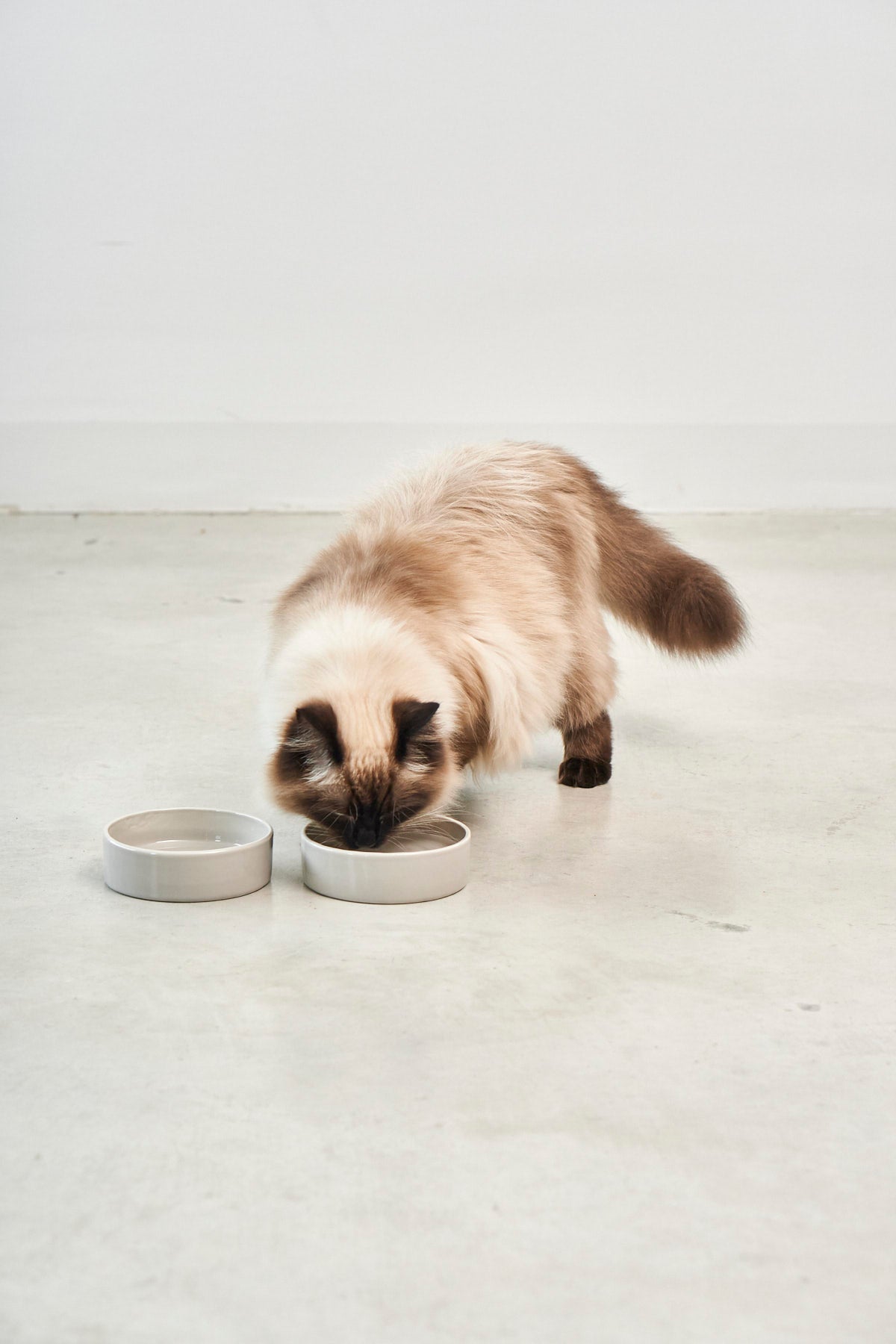 3er-Set Scodella Katzennapf mit Schleckmatte und Napfmatte