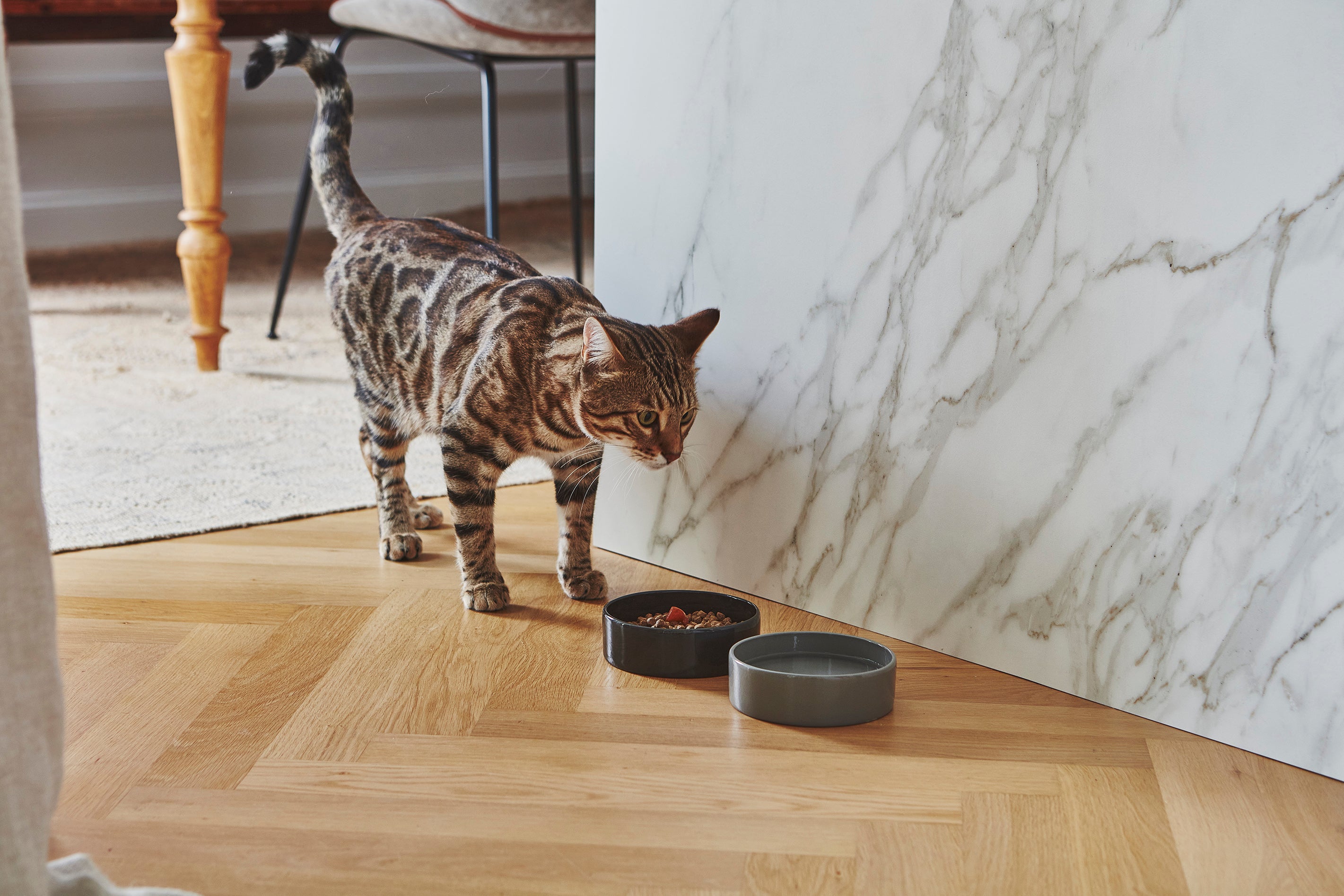 MiaCara Scodella Katzennapf