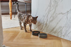 MiaCara Scodella Katzennapf