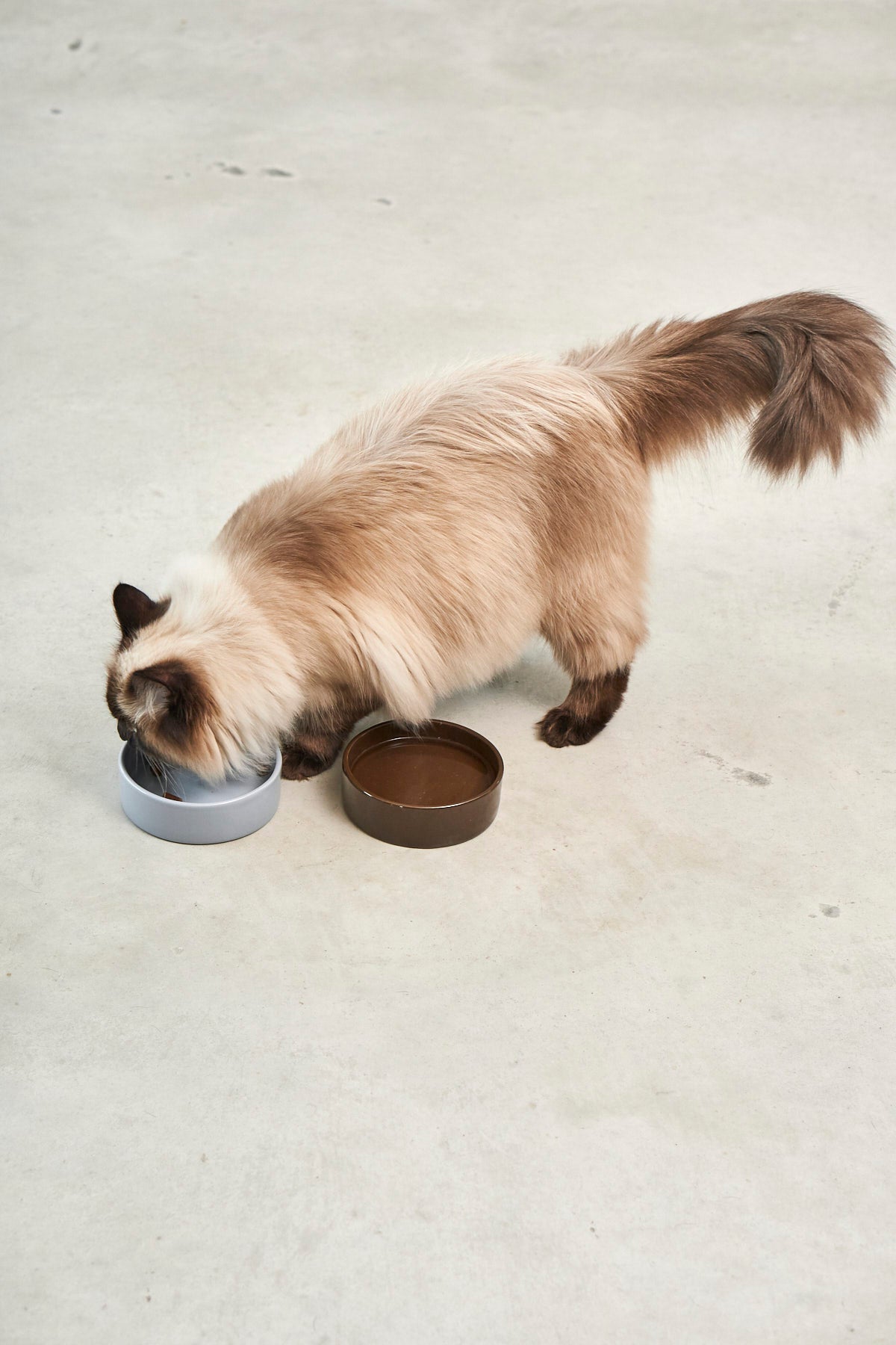 3er-Set Scodella Katzennapf mit Schleckmatte und Napfmatte