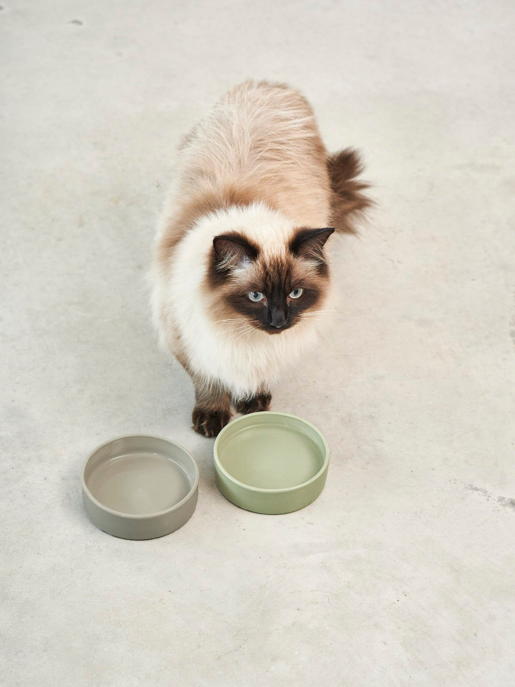 3er-Set Scodella Katzennapf mit Schleckmatte und Napfmatte