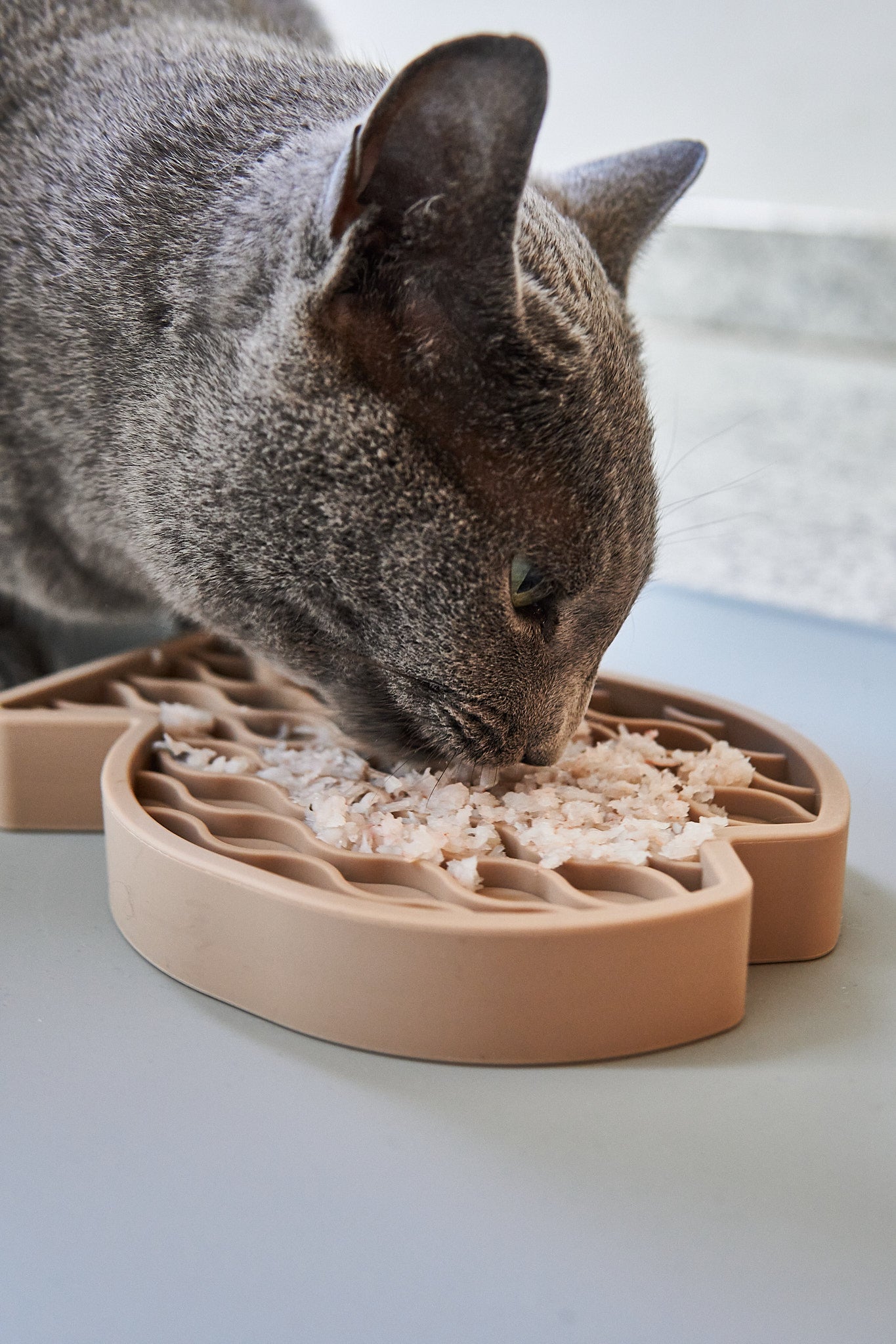 MiaCara Pesce Spielzeug