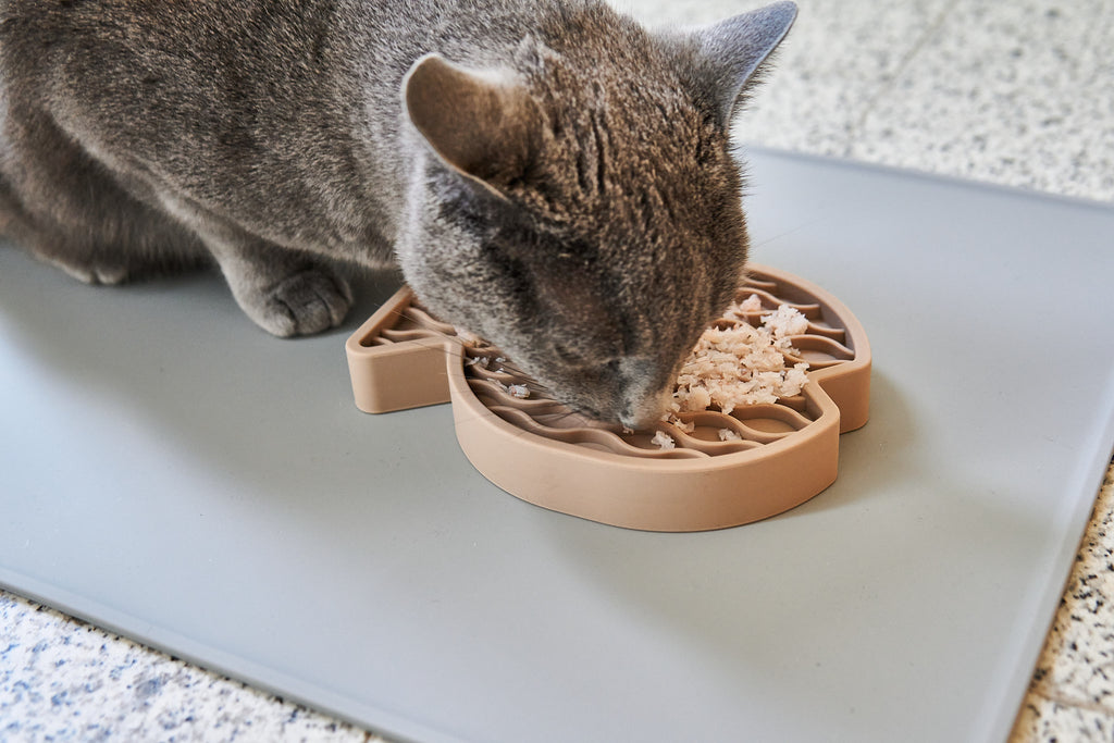 MiaCara Pesce Spielzeug