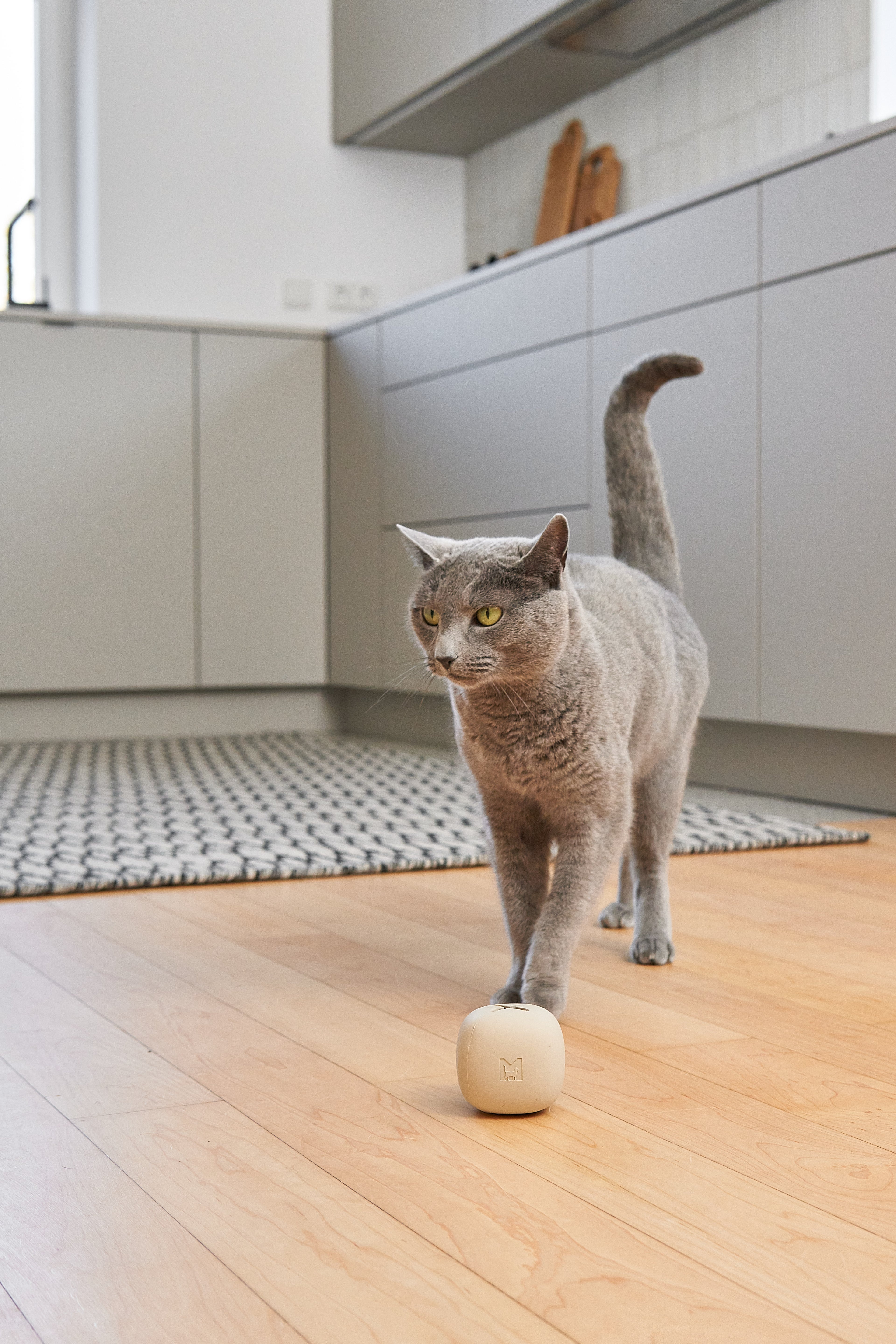 MiaCara Rotolo Katzenspielzeug