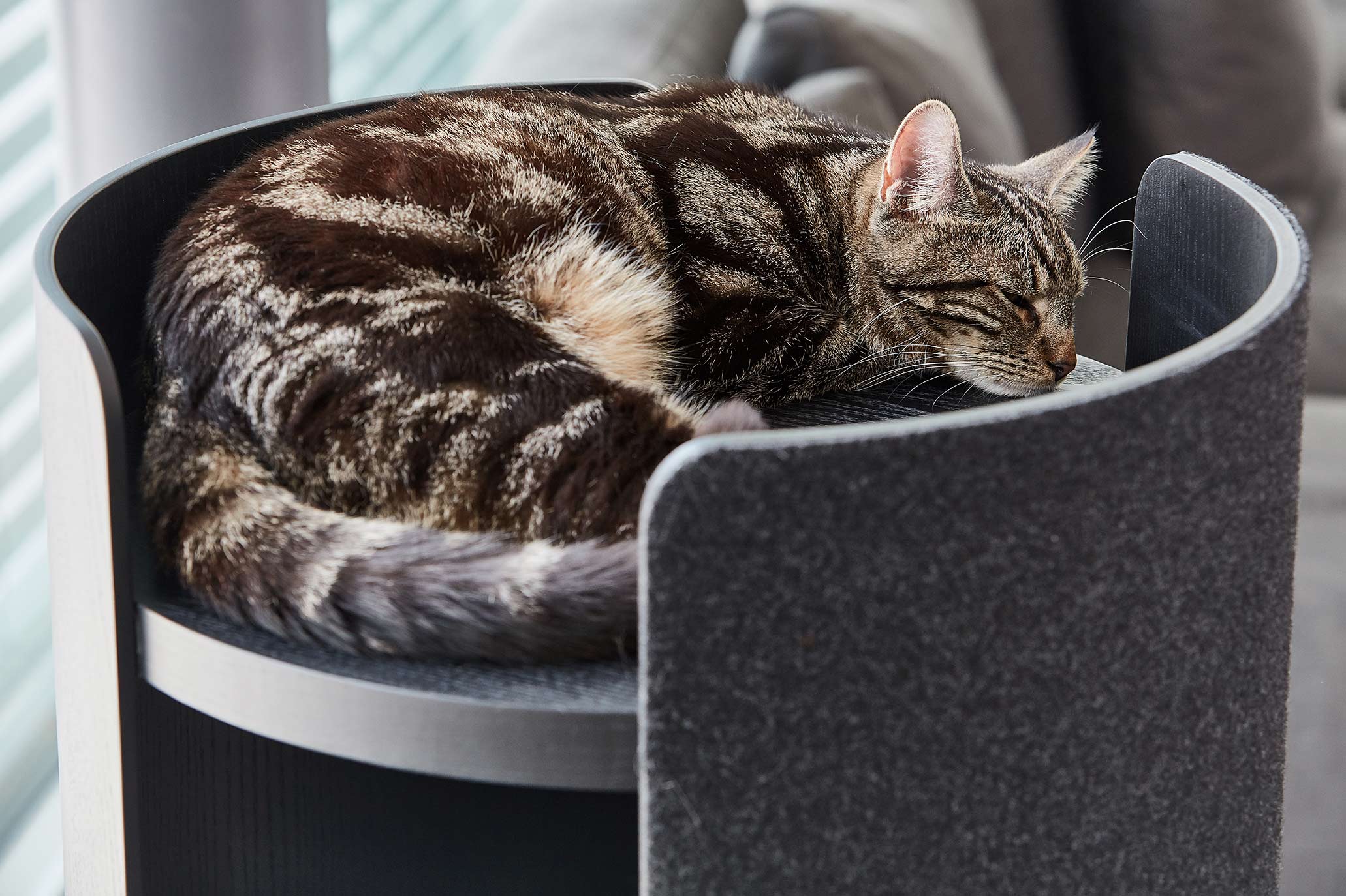 MiaCara Torre Kratzturm