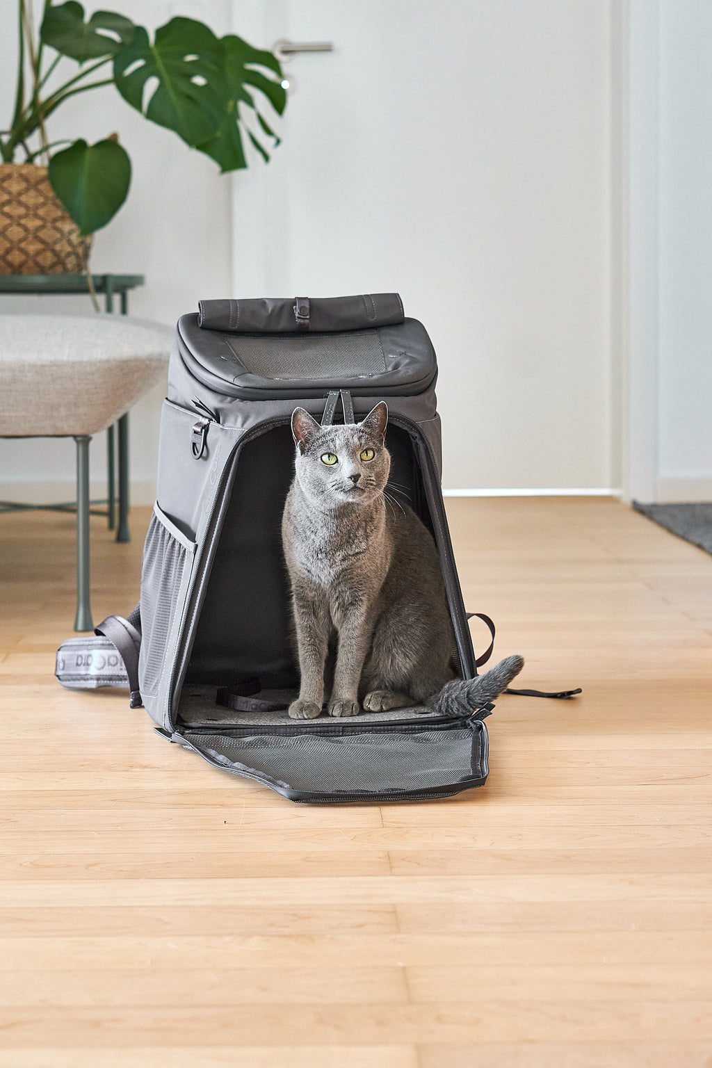 MiaCara Zaino Katzenrucksack