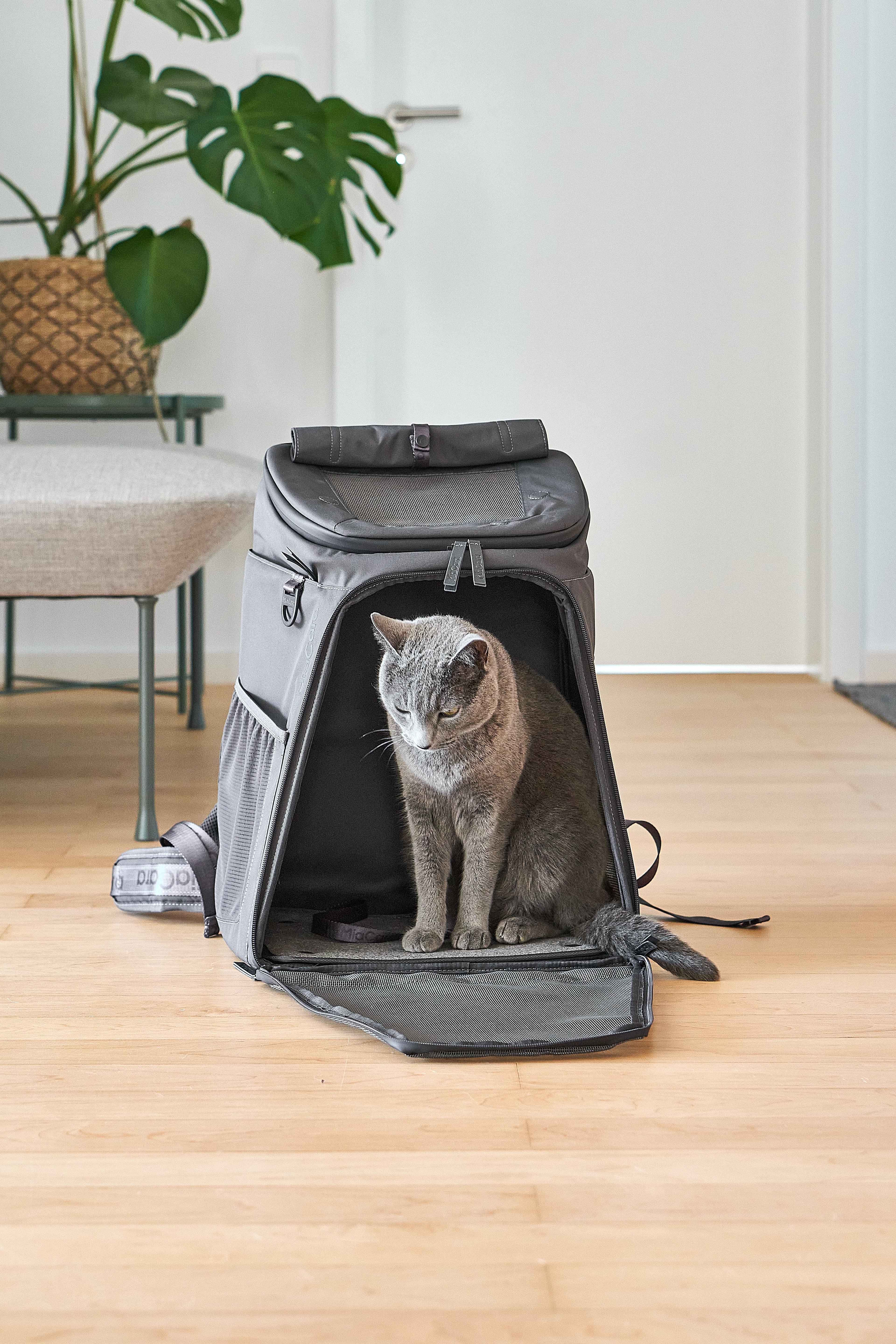 MiaCara Zaino Katzenrucksack