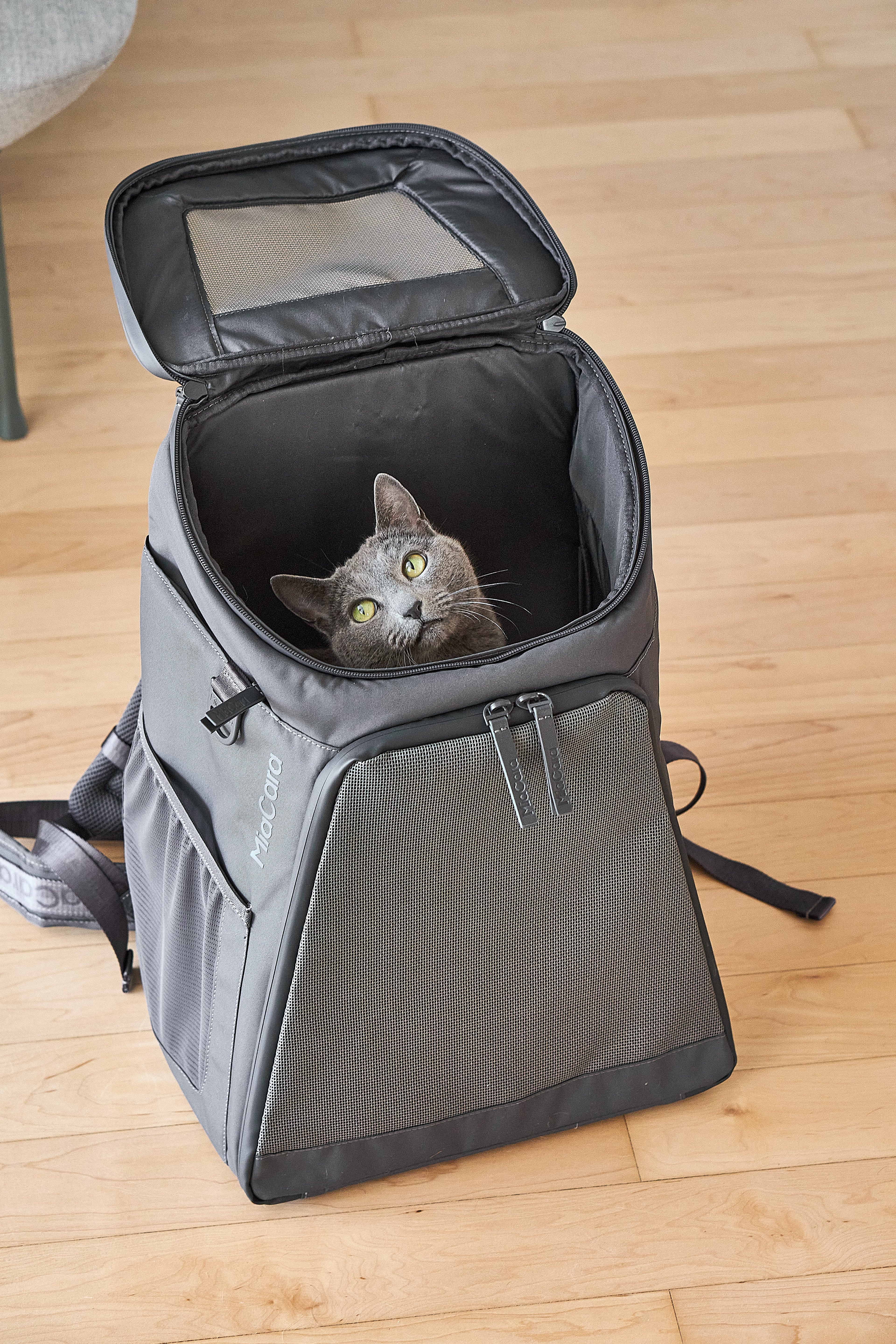 MiaCara Zaino Katzenrucksack
