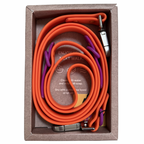 The Fritz lead and collar set