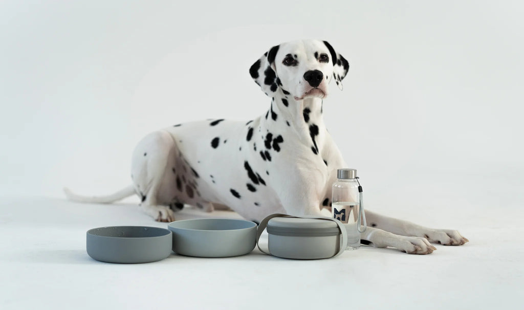 MiaCara Bottiglia Wasserflasche