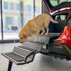 Dog & Drive Hundetreppe für Tesla MY