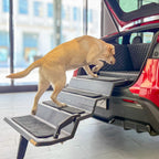 Dog & Drive Hundetreppe für Tesla MY