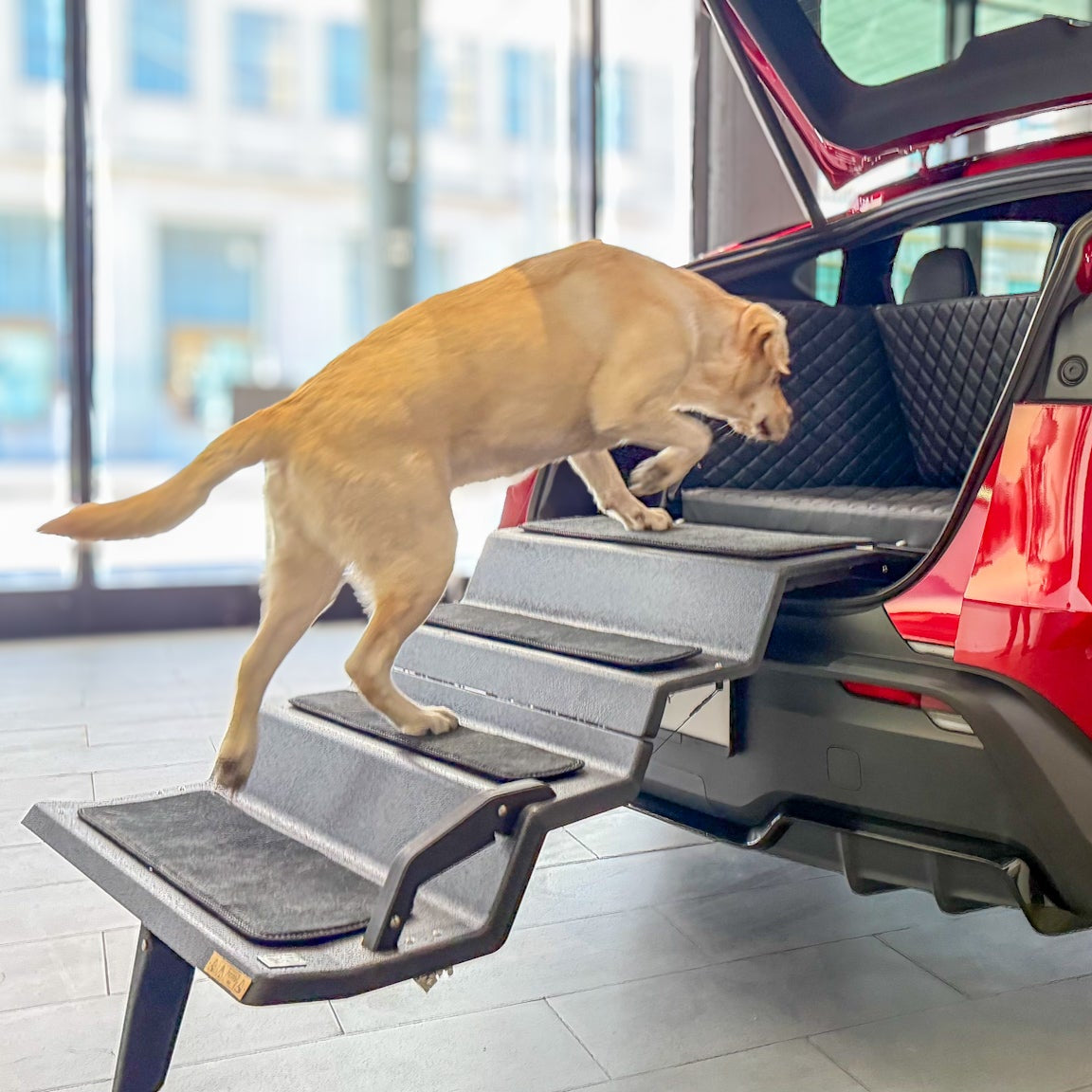 Dog & Drive Dog Steps