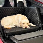 Dog & Drive Hundetreppe für Tesla MY