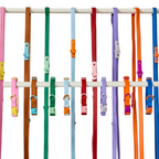 The Fritz lead and collar set