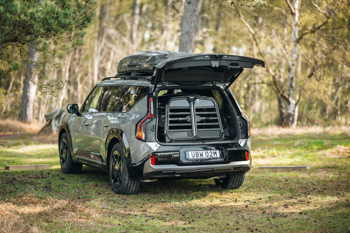 Allax Transportbox