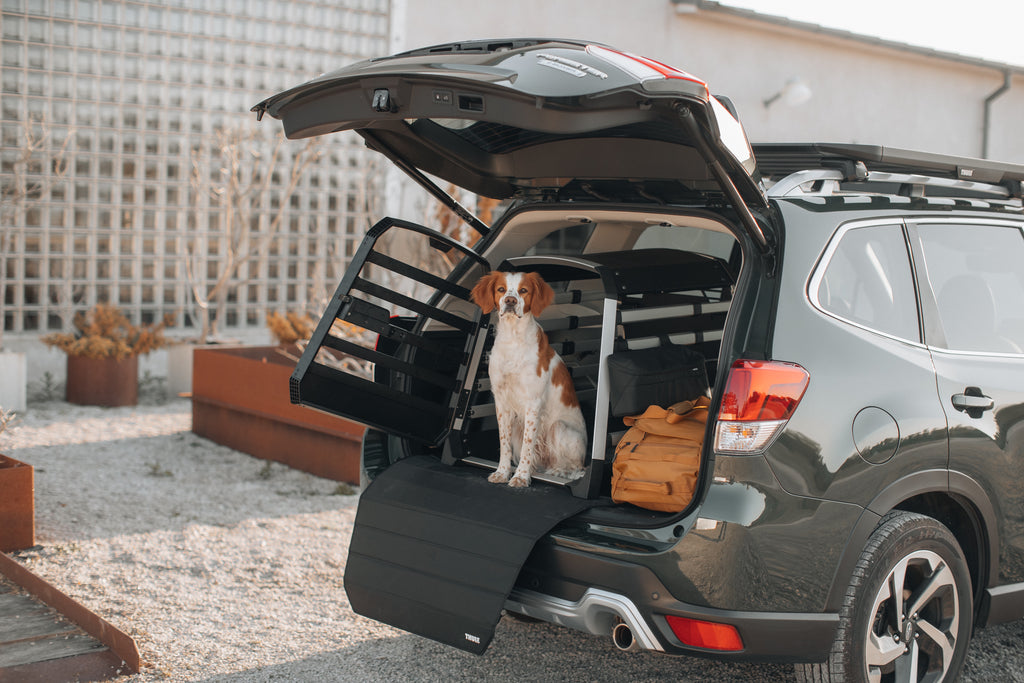 Allax Transportbox