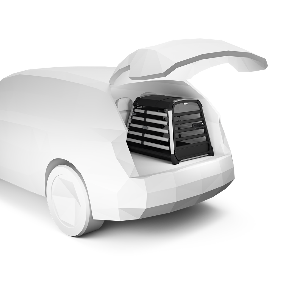 Allax Transportbox