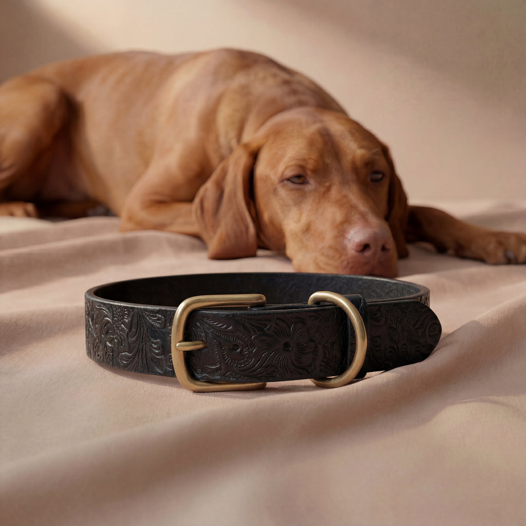 Floralis set Wide - Collar, Lead & Tag