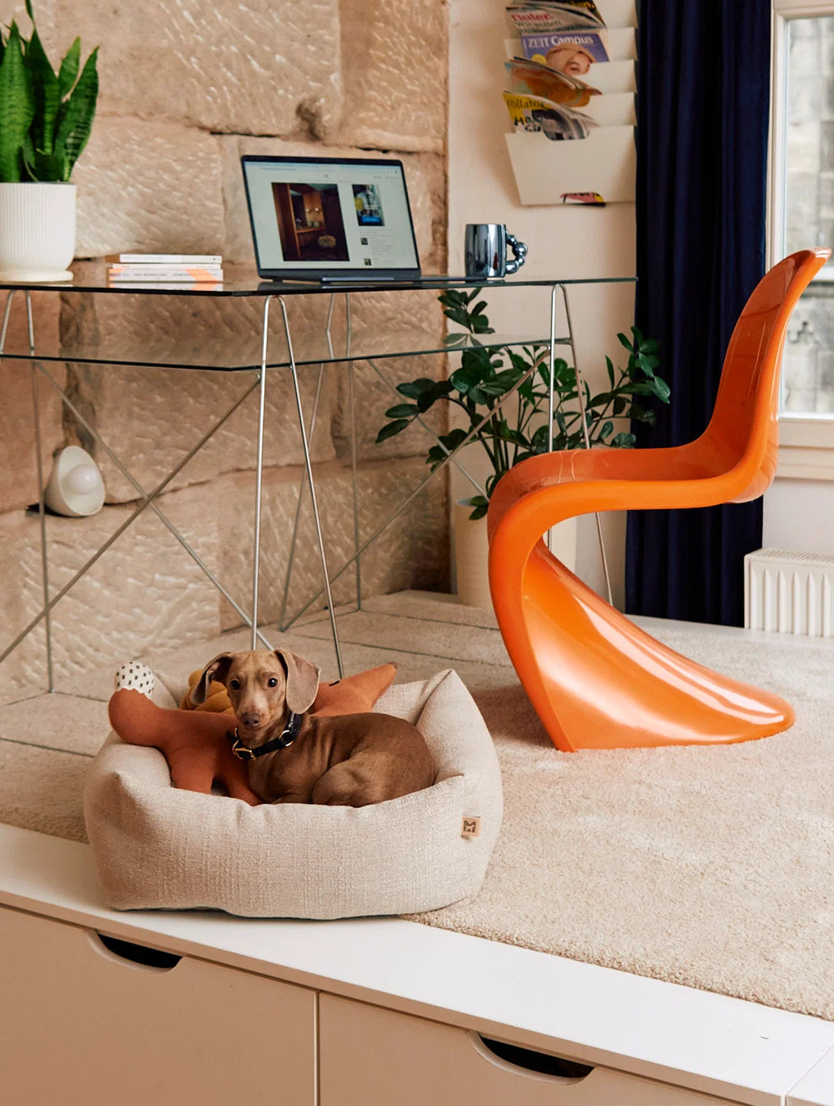 Campo Piccolo Hundebett