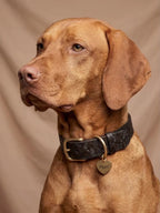 Floralis set Wide - Collar, Lead & Tag