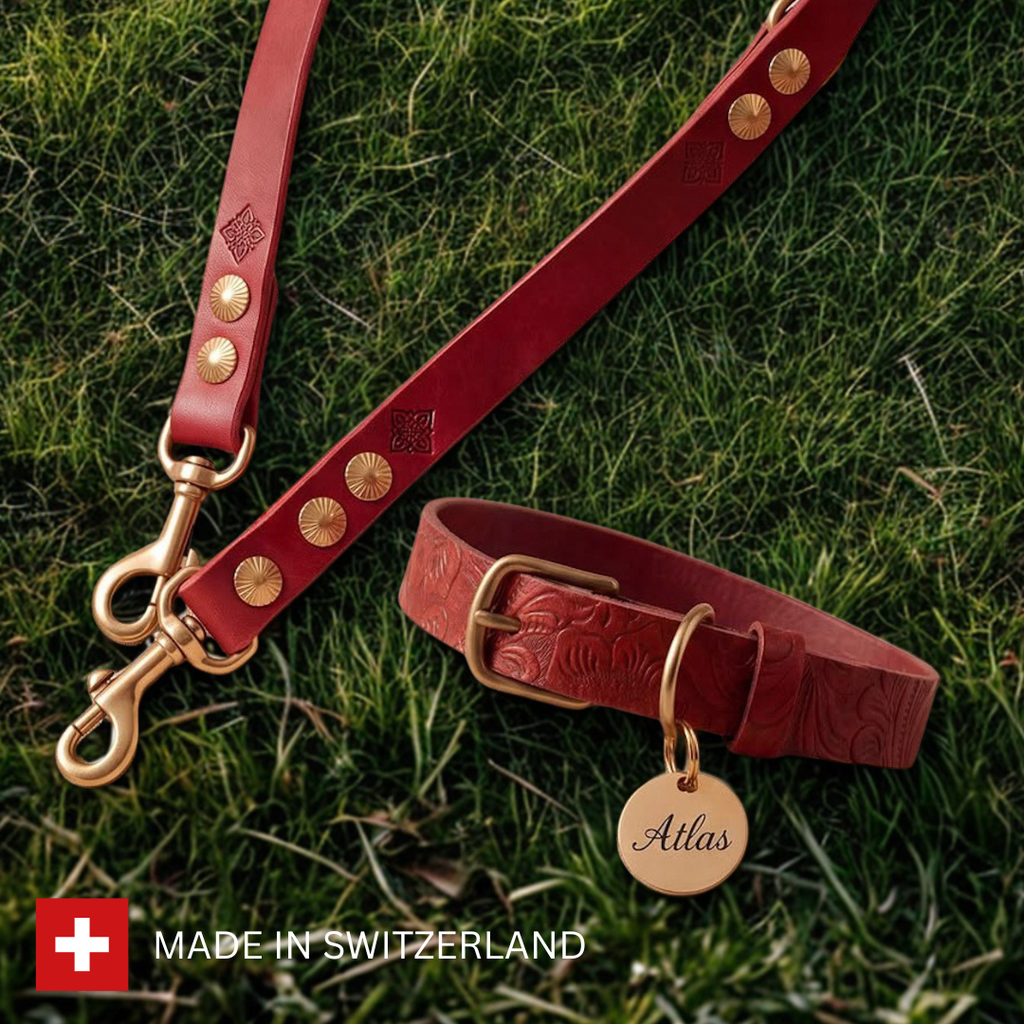 Floralis set Sleek - Collar, Lead & Dog Tag