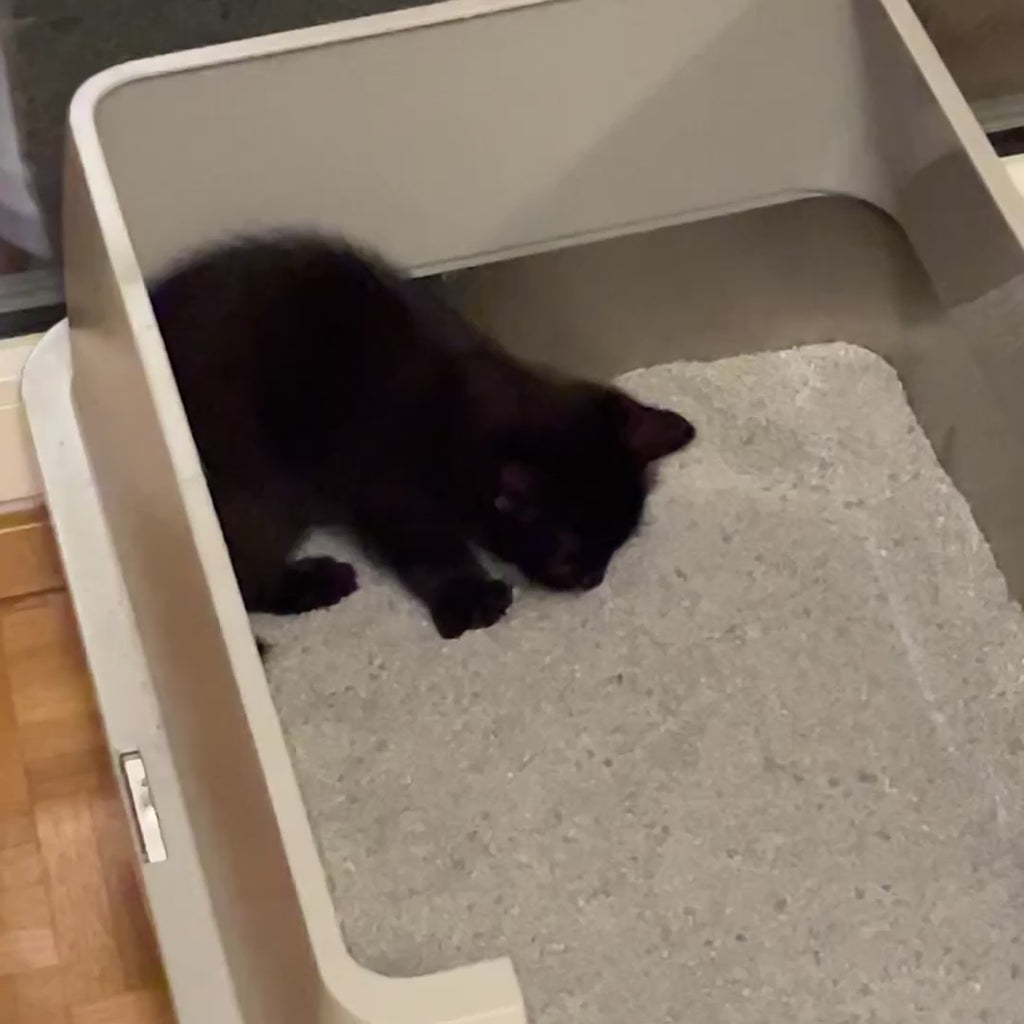Intersand Cat Litter Odour Buster Original