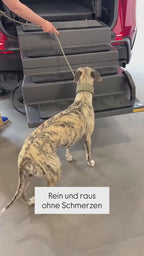 Dog & Drive Hundetreppe für Tesla MY