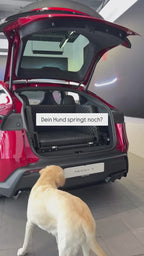 Dog & Drive Hundetreppe für Tesla MY
