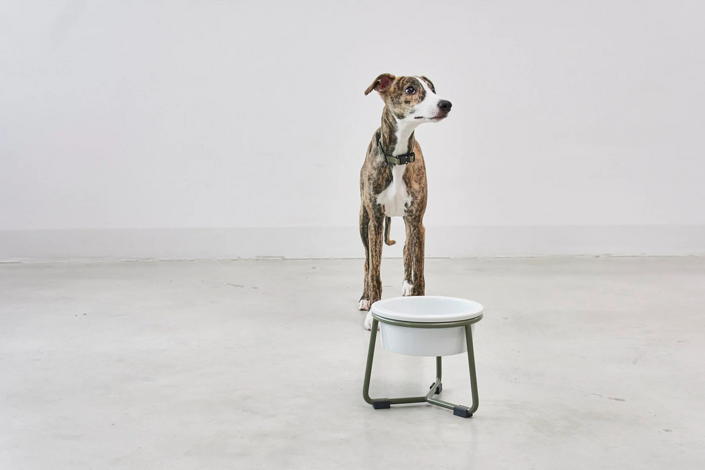 MiaCara Pranzo Napfständer für Hunde