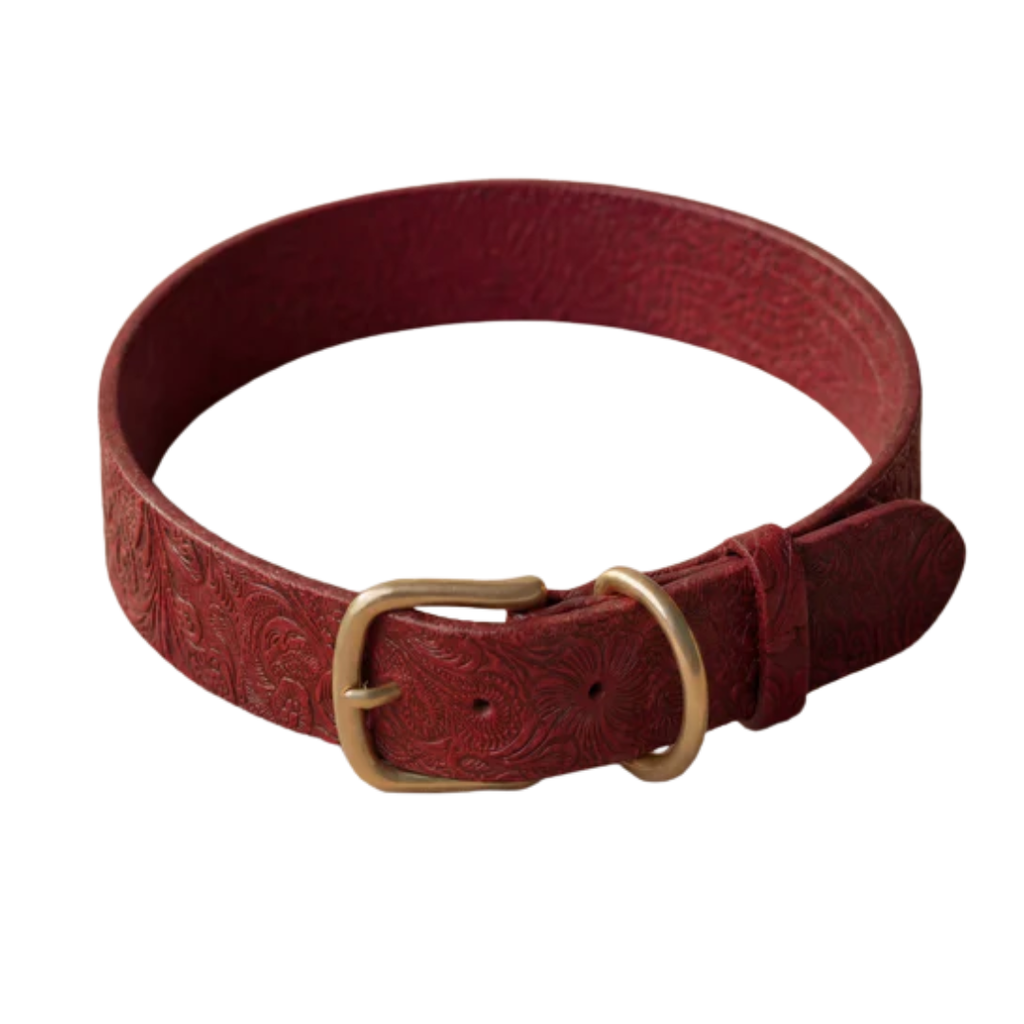 Doggy with Style collier pour chien Floralis - Large