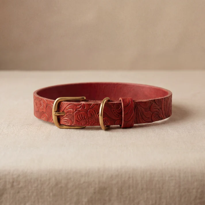 Doggy with Style Dog Collar Floralis - Sleek with Dog Tag