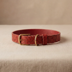 Floralis set Sleek - Collar, Lead & Dog Tag