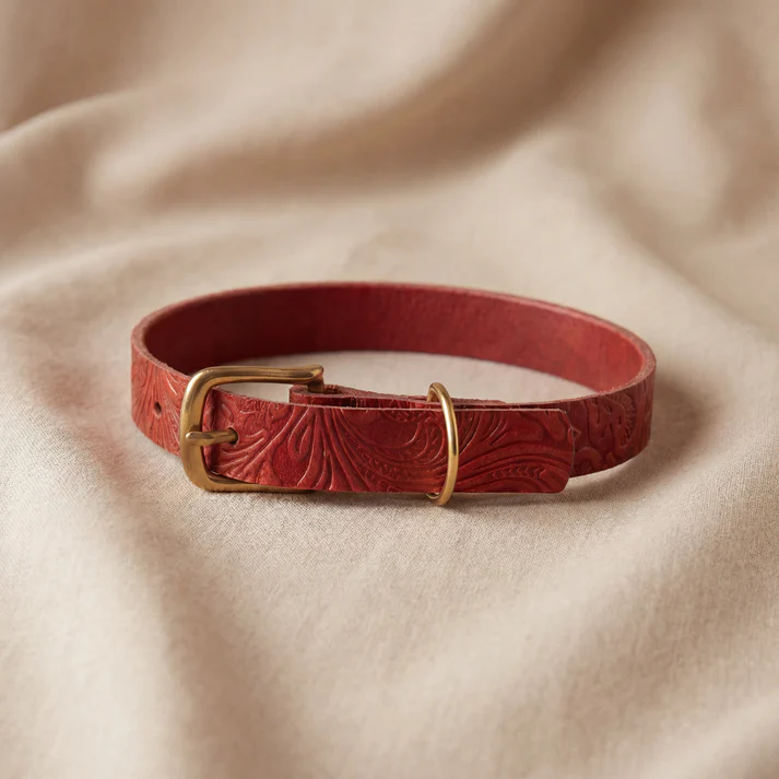 Floralis set Sleek - Collar, Lead & Dog Tag