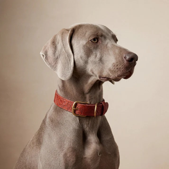 Doggy with Style Hundehalsband Floralis - Schmal