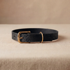 Floralis set Sleek - Collar, Lead & Dog Tag