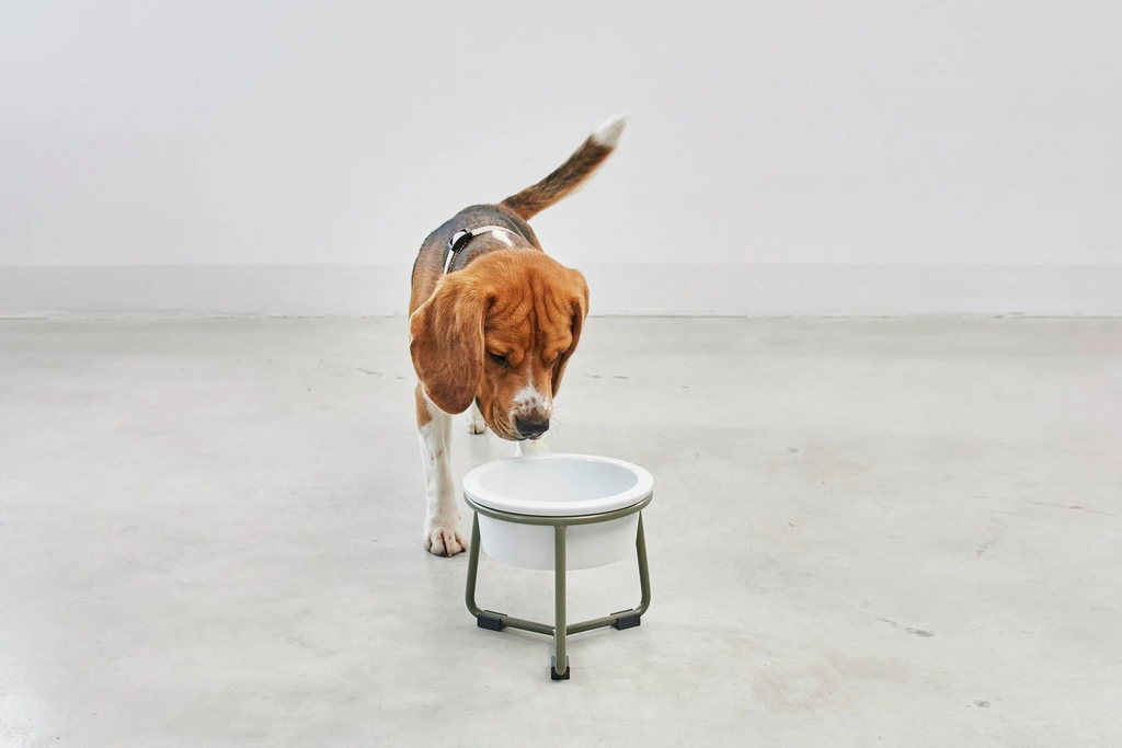 MiaCara Pranzo Napfständer für Hunde