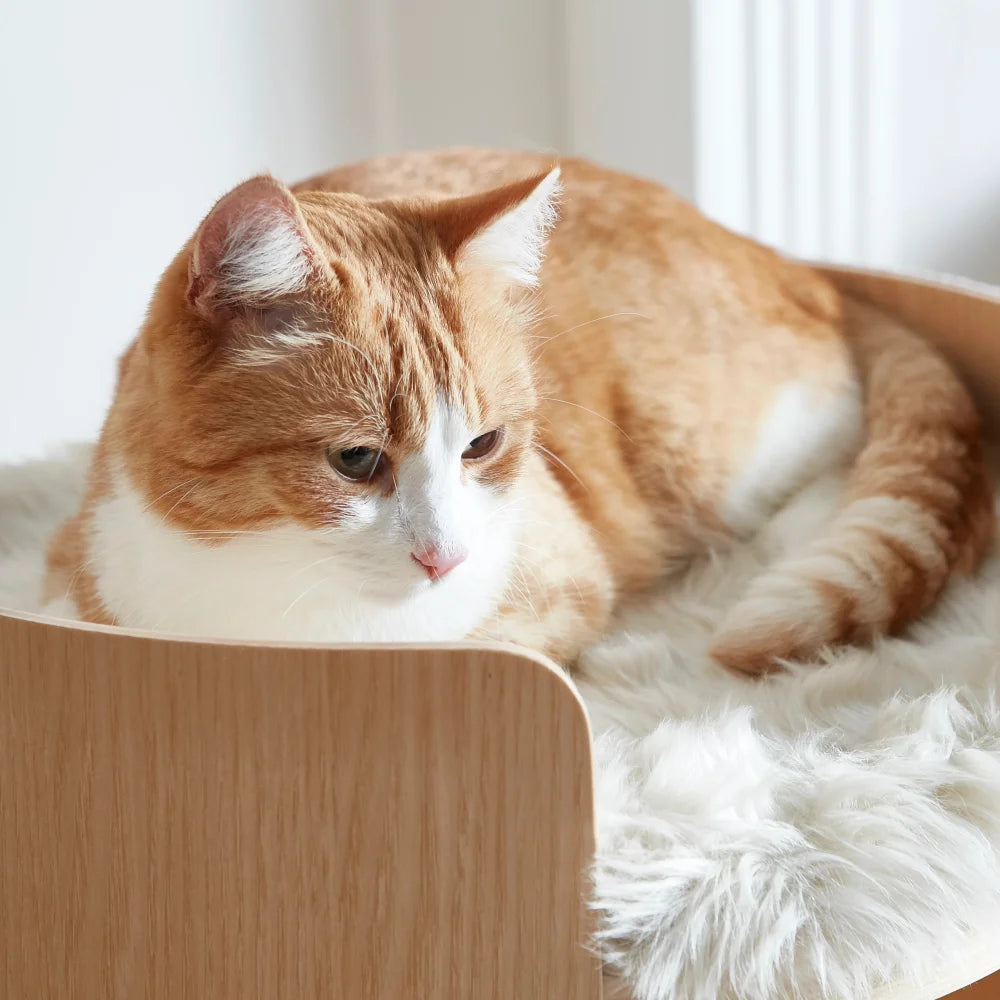 MiaCara Torre Kissen