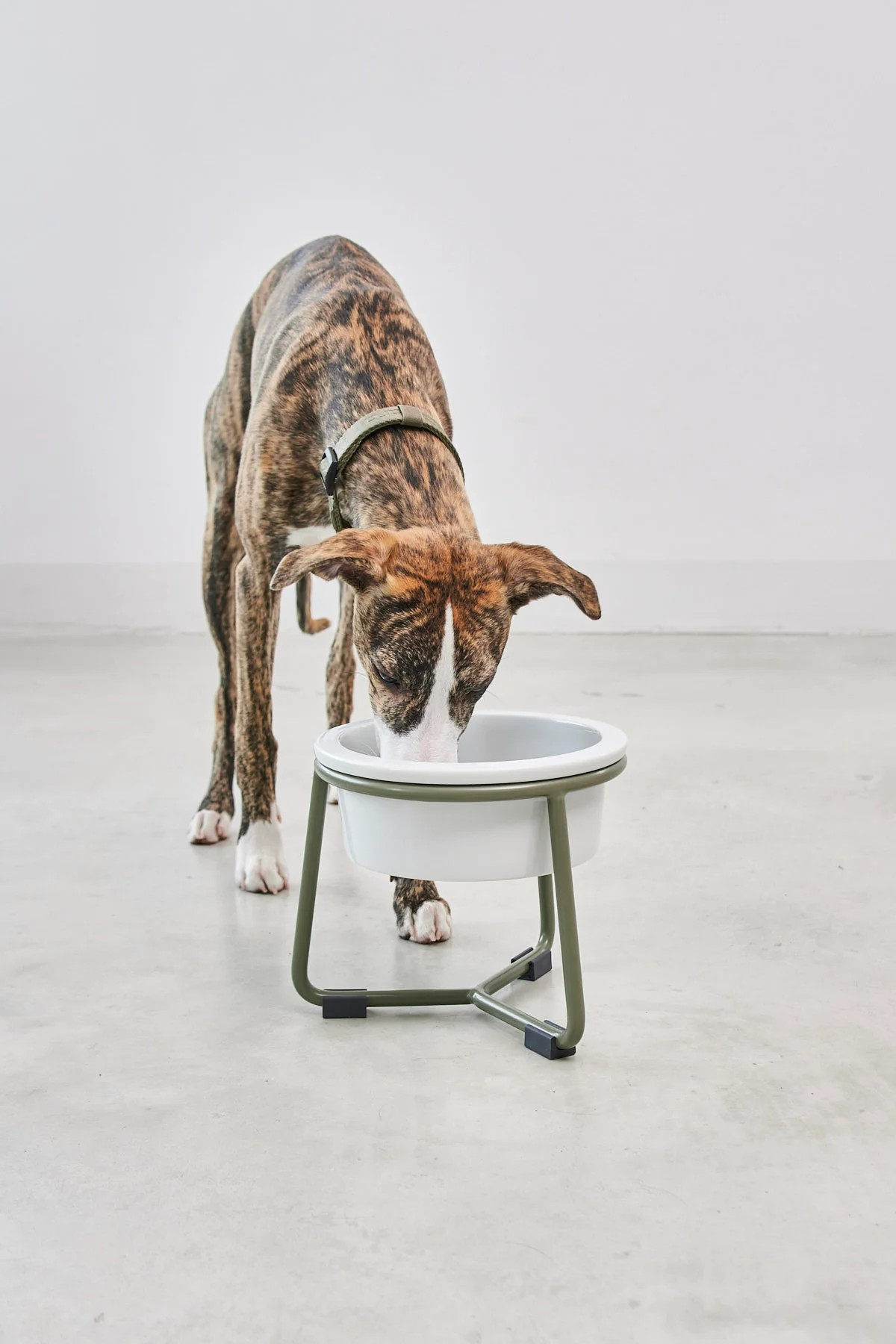 MiaCara Pranzo Napfständer für Hunde